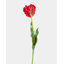 «Real Touch» perroquet blanc 27 po-287527651