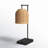 Zac Metal Desk Lamp