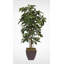 Faux Foliage Tree in Metal Pot