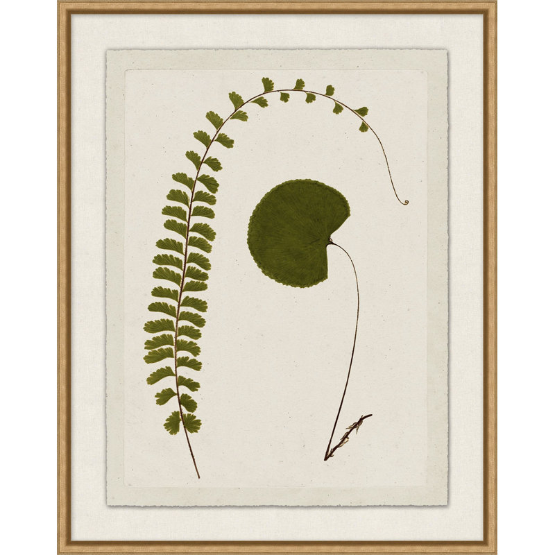 Plant Presses 2 Print by Lillian August