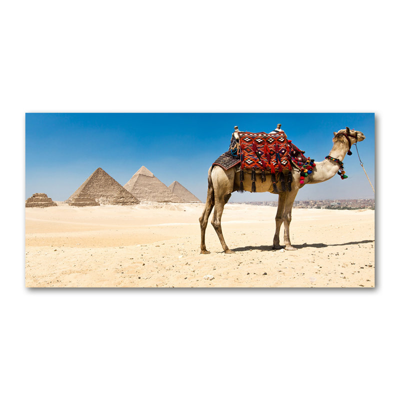 Sechovicz 50cm W x 100cm L Glass Peel and Stick Panel