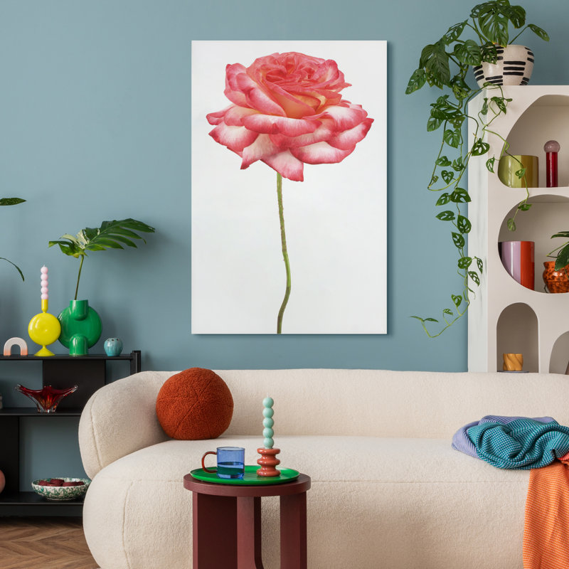 « rose sur blanc », impression sur verre Rose