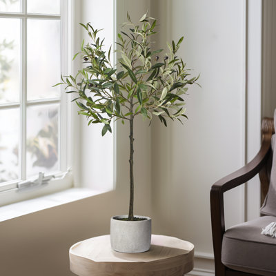 Faux Olive Tree Plant in Cement Pot