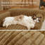 Canapé pour chat pour animaux de compagnie - Canapé-lit pliable pour animaux de compagnie à double couche, lit pour animaux de compagnie moyen et petit avec molleton en velours côtelé doux de qualité supérieure-149817705-149817703