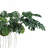Lush Polyethylene Hanging Monstera Kokedama