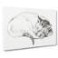 Sleeping Cat by Jean Bernard - Wrapped Canvas Drawing - Wrapped Canvas-55318094