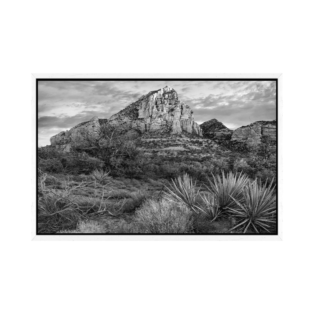 Narrow Leaf Agaves And Thunder Mountain, Coconino National Forest, Near Sedona Arizona von Tim Fitzharris - Gallery-Wrap...