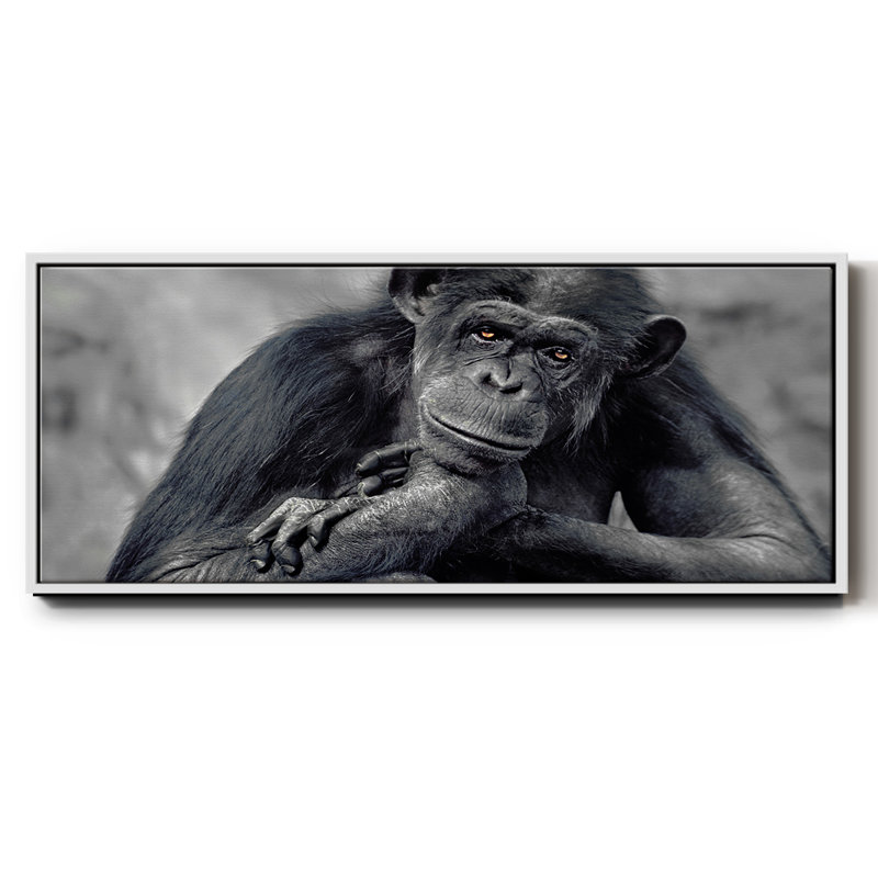 Captivated- Framed Canvas