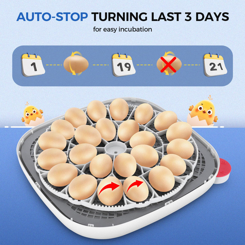 24 Egg Incubators For Hatching Eggs, 4 Modes Egg Incubator With Automatic Egg Turning And Humidity Display, Egg Candler - 360° View With Clear Window Incubators For Hatching Chicks