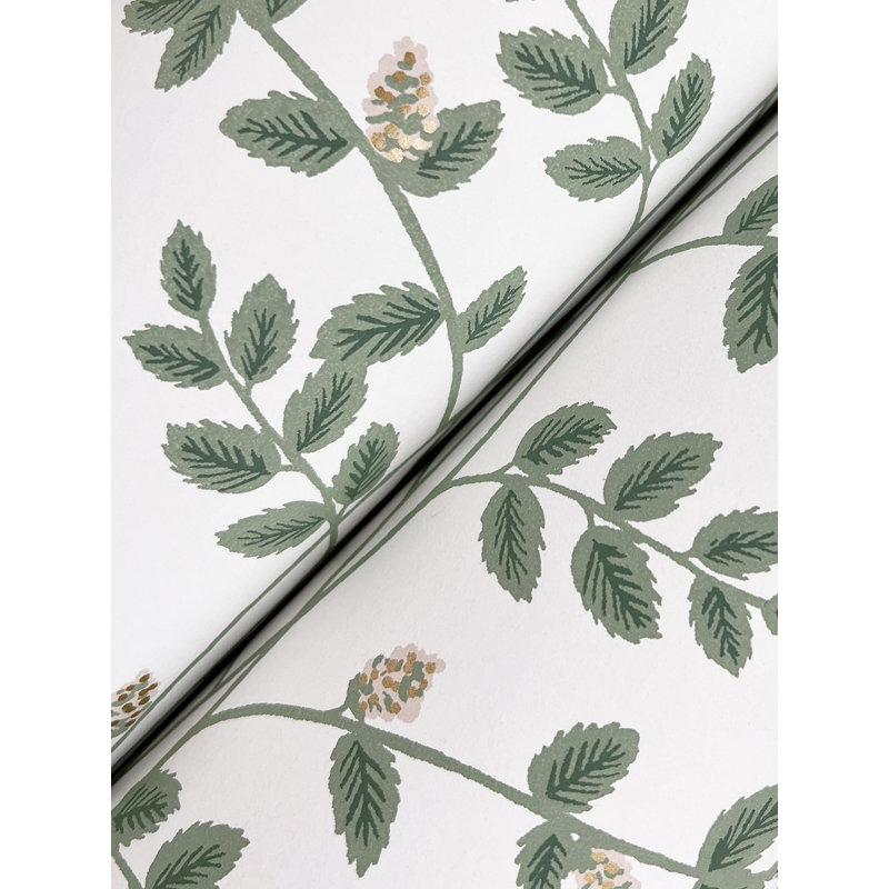 Papier peint Climbing Vine, Or