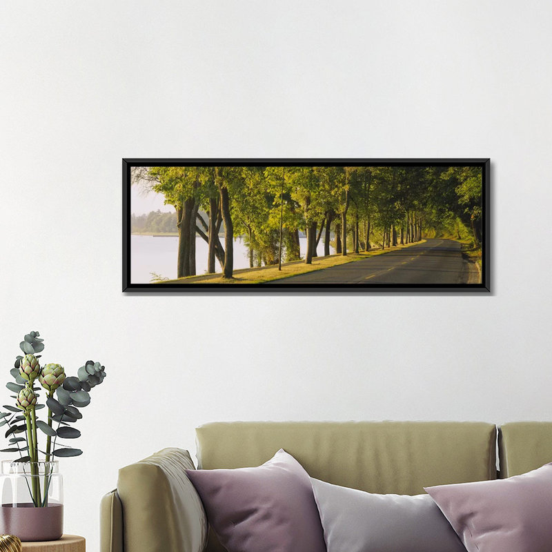 Reproduction de photo sur toile tendue, "panoramique, arbres le long d'une route, Lake Washington Boulevard, Seattle, Washington"
