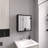 21.1" H X 19.7" W Mirror Cabinet For Bath And Kitchen, Black, 4 Interior Shelves & Towel Rack System Bathroom Kitchen With Mirror,