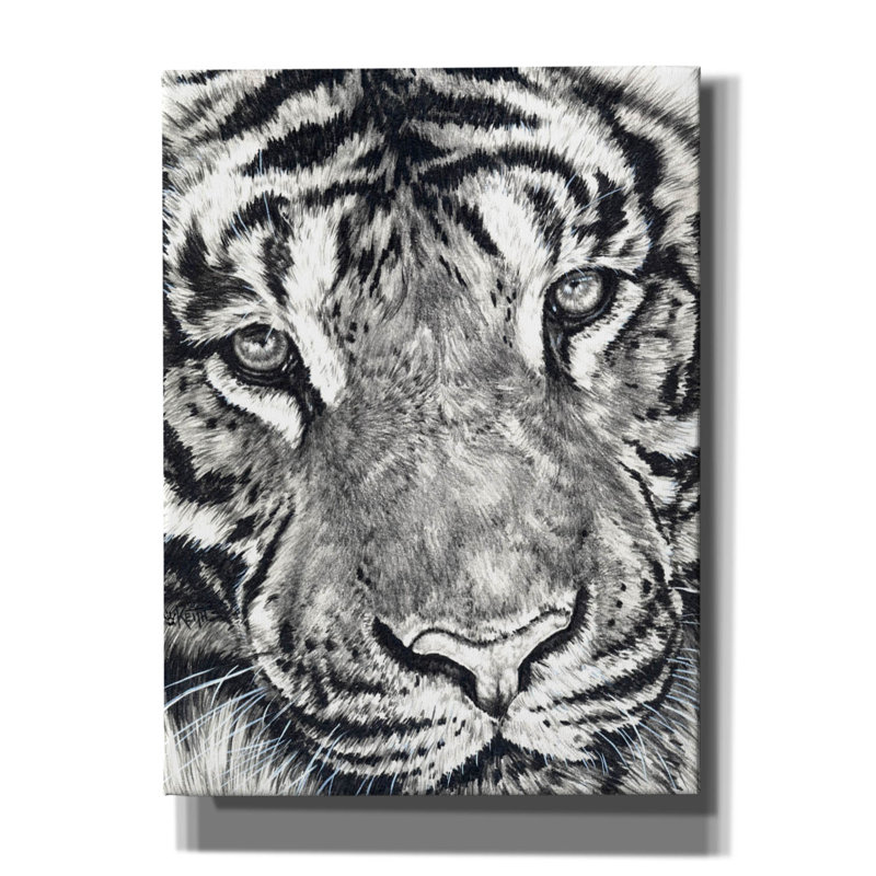 Cabhan " Dreamer " Print, 54" H x 40" W x 1.5" D