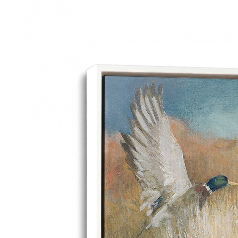 «Wild Wings» par Julia Purinton, reproduction d'art sur toile, Cadre flottant, H 32 po x l 48 po, Blanc