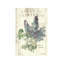 Lilas De Printemps - Print on Canvas-25225505-101413663
