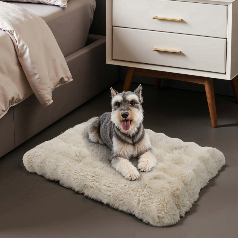 Dog Bed, Beige, 10cm H x 76cm W x 51cm D