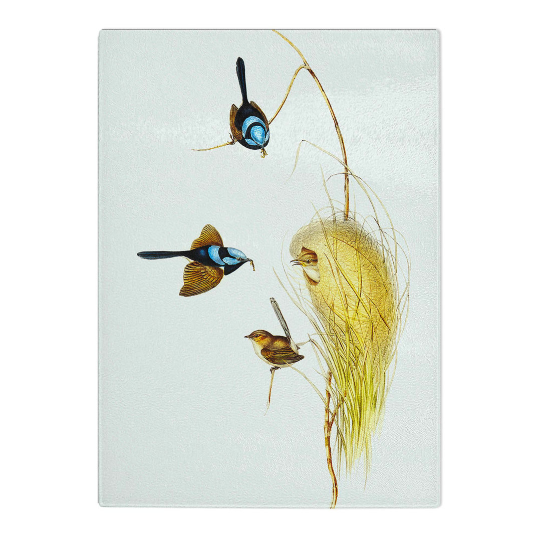 Tempered Glass Blue Wrens by Elizabeth Gould Chopping Board