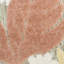 Tapis moderne Villem Rose-114116814
