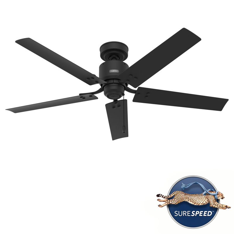 52" Windbound 5 - Blade Industrial Outdoor / Indoor Black Ceiling Fan with Pull Chain