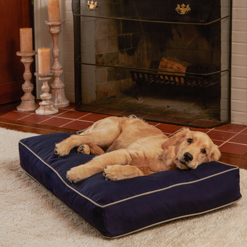 Lit pour chien intérieur / extérieur Jann, Petit (l 36 po x P 24 po x H 5 po), Bleu marine