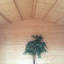 Berryfield 11 x 8 Ft. Log Cabin