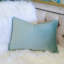 Coussin lombaire brodé citrouille-118730631