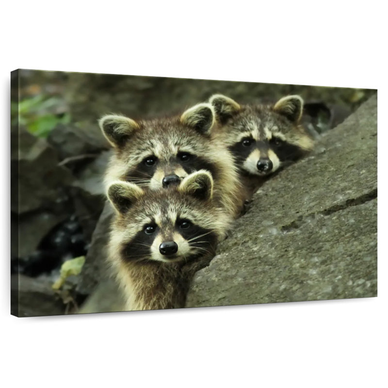 Brampt Tres Banditos, 32" H x 48" W