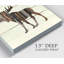 Orignal des bois - Impression-25250875-40496877