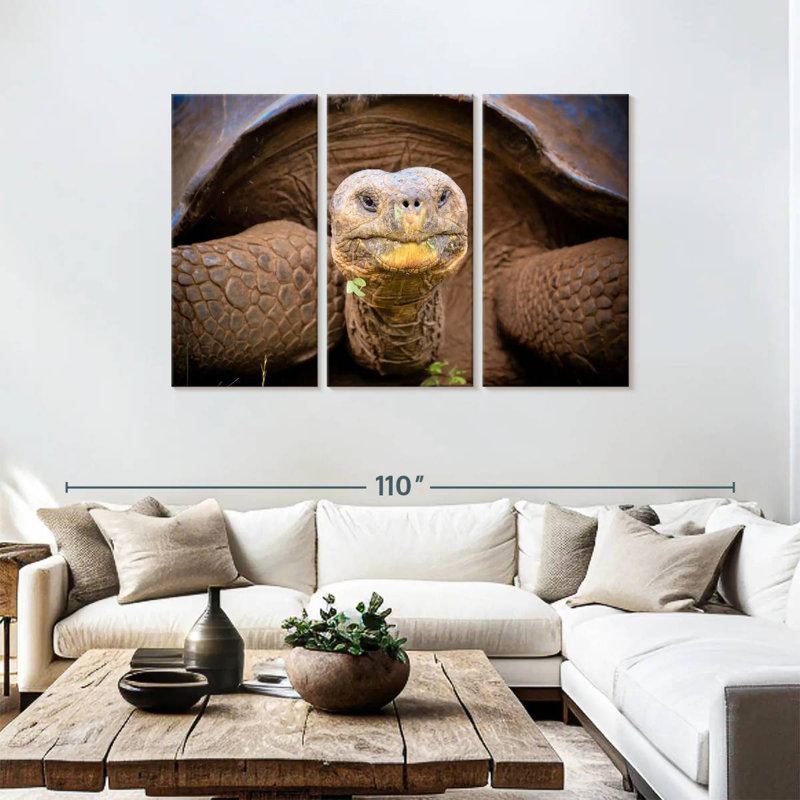 Brampt Galapagos Tortoise, 48" H x 74" W