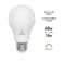 60 Watt Equivalent A19 E26/Medium (Standard) LED Bulb