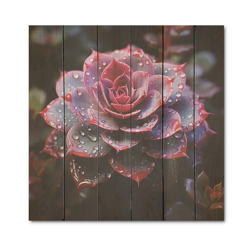 Élégante plante grasse néon mauve - art sur bois de pin naturel, H 25 po x l 25 po