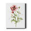 «Wild Poppy» par Carol Robinson, reproduction d'art sur toile tendue-252149755