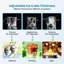 Gaomon 350, production quotidienne
