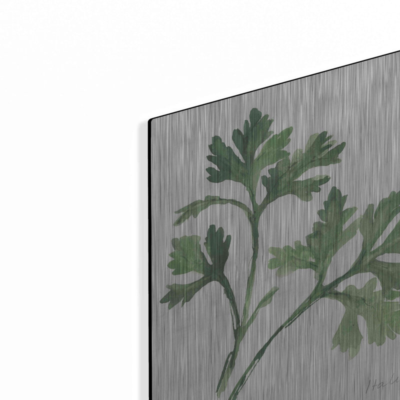 «Italian Parsley» par Chris Paschke, H 12 po x l 12 po