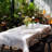 Disposable Plastic Tablecloths (set Of 10)