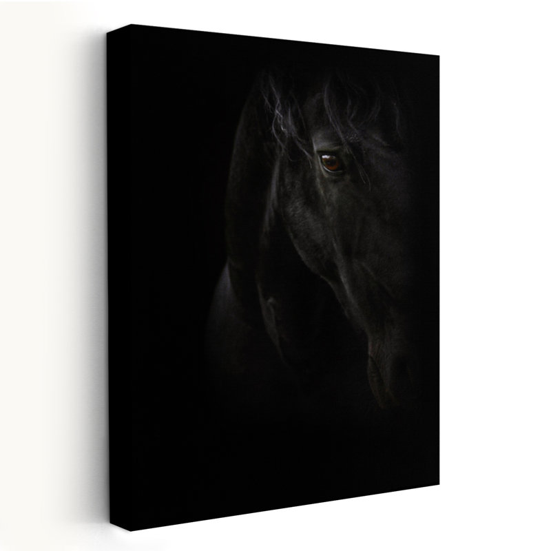 Perle noire - photographie, animaux, chevaux, H 48 po x l 32 po