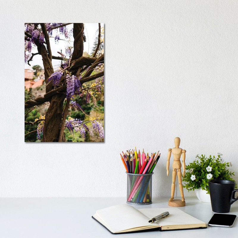 Positano Blooms VI by Bethany Young - Print on Canvas, 30.48cm H x 20.32cm W x 1.91cm D, Wrapped Canvas