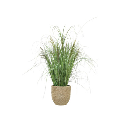 Mixed Grasses.Preserved Reeds in Rope Planter