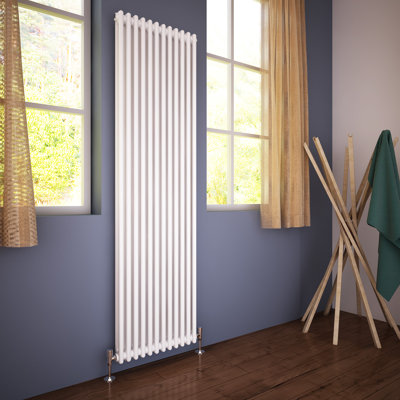 Jazlyn Vertical Traditional Colosseum Radiator