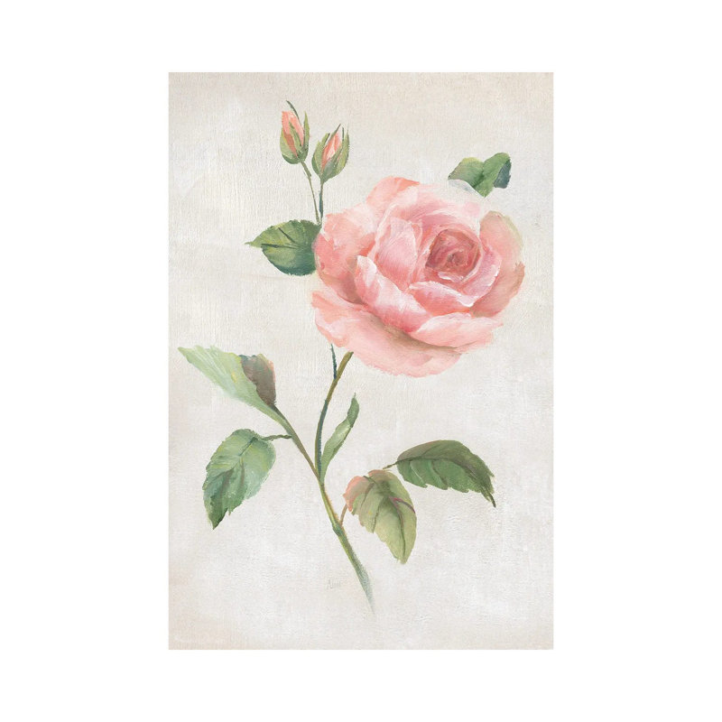Grandiflora I By Nan - Wrapped Canvas Graphic Art by Nan - Wrapped Canvas Gallery-Wrapped Canvas Giclée