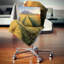 Coussin Schafer-440727175-440727171