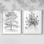 Reproduction encadrée de qualité supérieure B&W Plant Speciment IX - prête à être accrochée - aucun clou requis - aucun clou requis-1068397177-1068397175