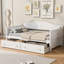 Lit de jour, canapé-lit pour le salon de la chambre à coucher, aucun sommier nécessaire-906811659