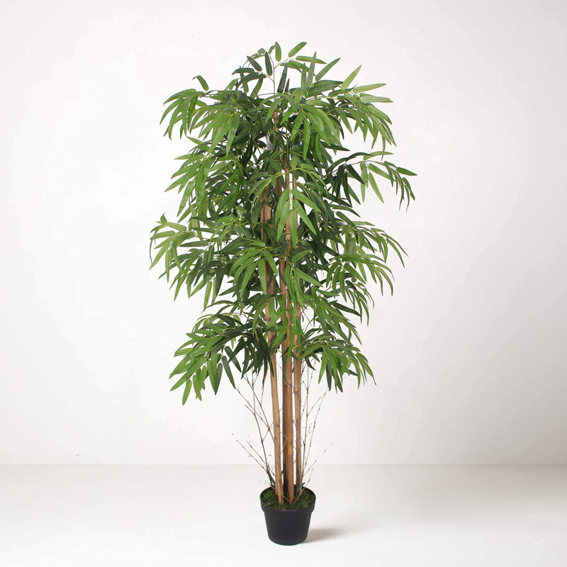 160cm Faux Bamboo Tree in Pot