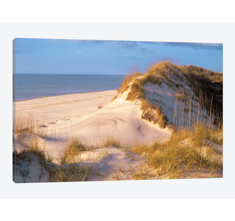 « côtier sables, saint joseph péninsule, floride », reproduction d’impression sur toile, H 12 po x l 18 po x P 1,5 po