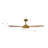 Striker 56" Smart Ceiling Fan Dimmable LED Light Kit & Remote Control, Works With Alexa/Google Home/Siri-1672218600-1676801783