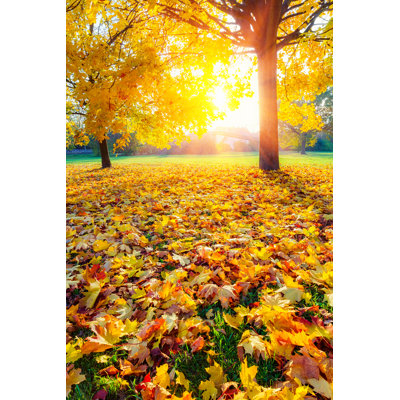 Feuillage d'automne - reproduction sur toile tendue