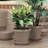 Terra Traditional Plastic Indoor/Outdoor Pot Planter-706139605-759619941
