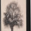 3 Piece Floater Frame Set on Canvas