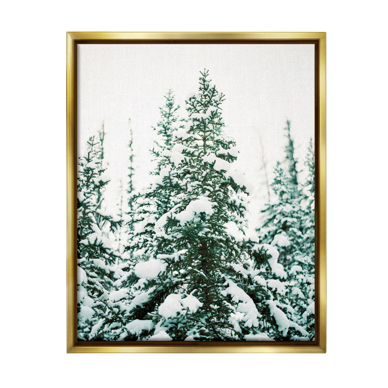 «Woodland Fir with Snow Floater Frame» par Justine Milton sur, Cadre flottant métallique doré, H 31 po x l 25 po